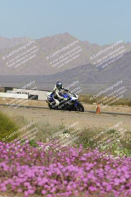 media/Feb-04-2023-SoCal Trackdays (Sat) [[8a776bf2c3]]/Turn 15 Inside Blooming (1050am)/